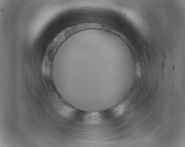 X0000066530431200604071621