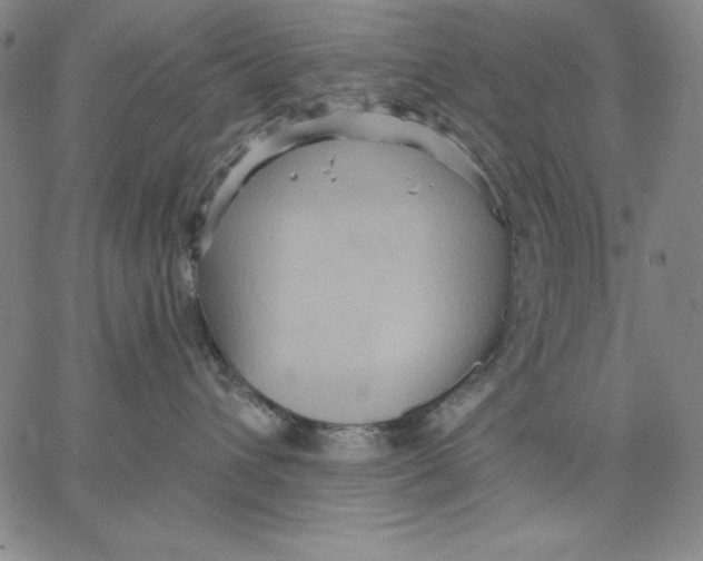 X0000066530432200604071621