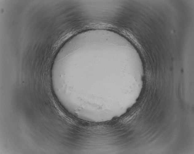 X0000066530433200604071621