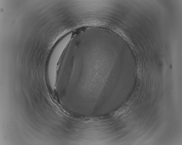 X0000066530434200604071621