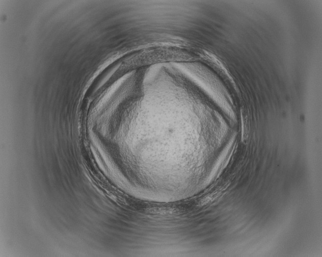 X0000066530435200604071621