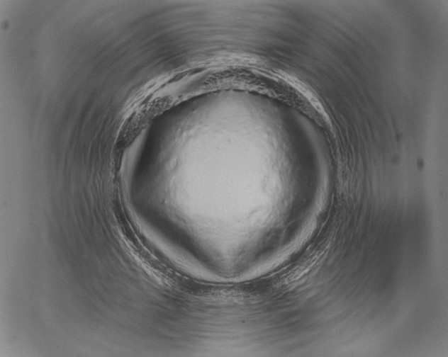 X0000066530437200604071621