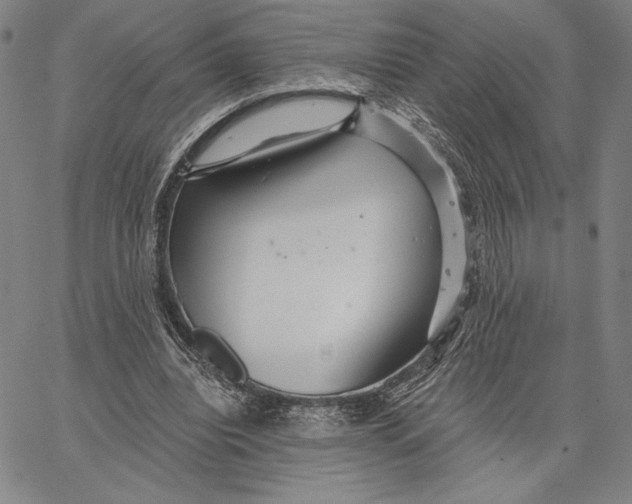 X0000066530440200604071621