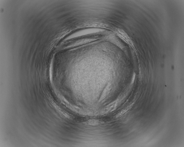 X0000066530441200604071621