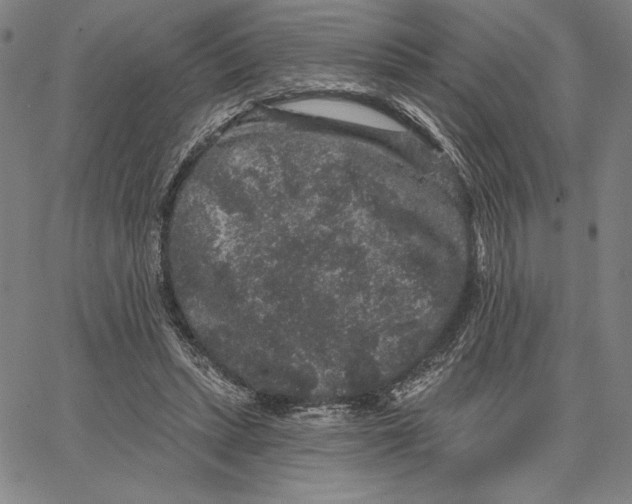 X0000066530447200604071621