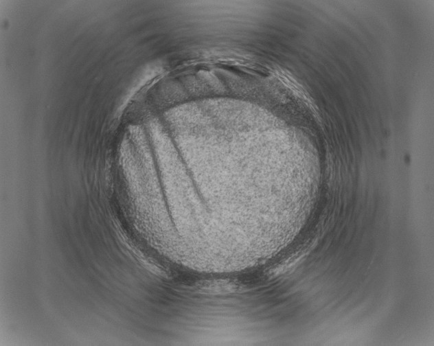 X0000066530449200604071621