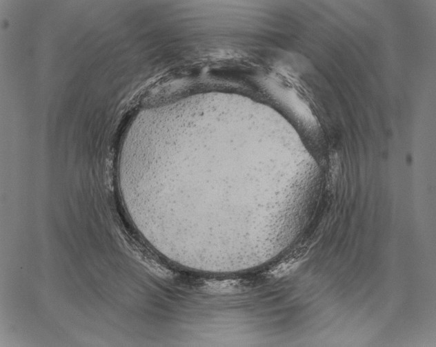 X0000066530450200604071621