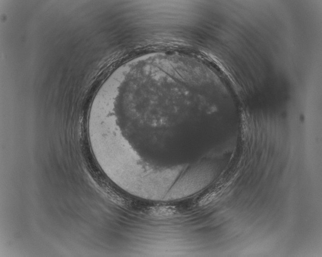 X0000066530451200604071621