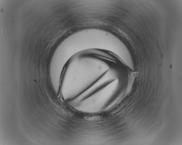 X0000066530452200604071621