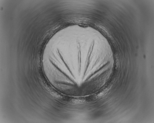 X0000066530453200604071621