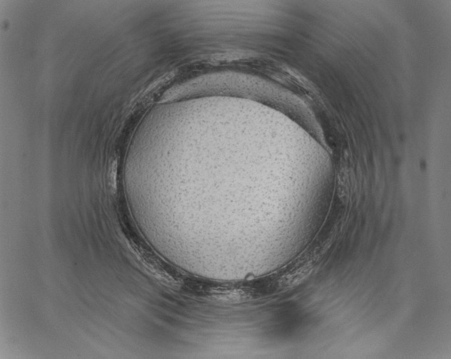 X0000066530454200604071621