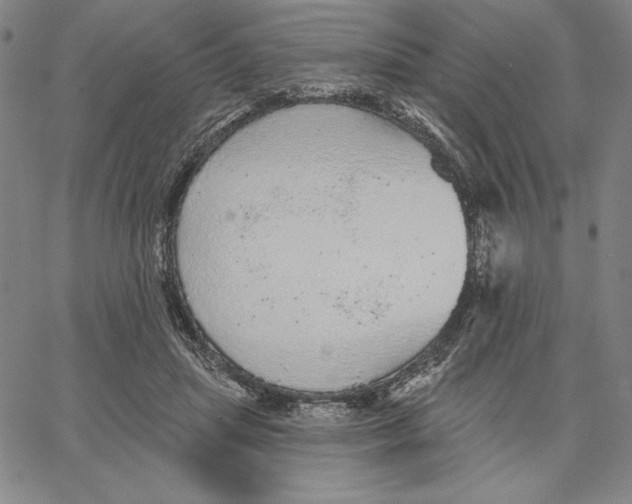 X0000066530455200604071621