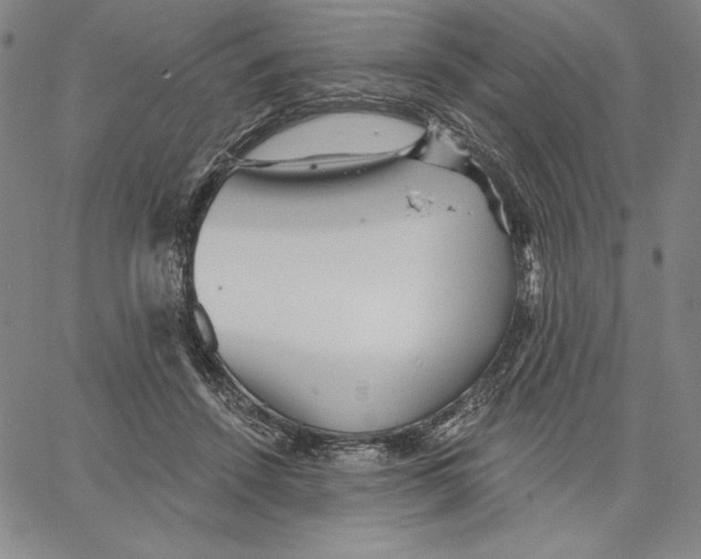 X0000066530456200604071621