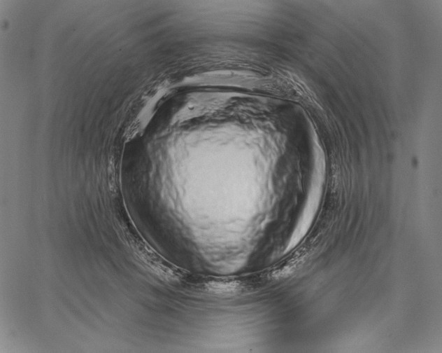 X0000066530457200604071621