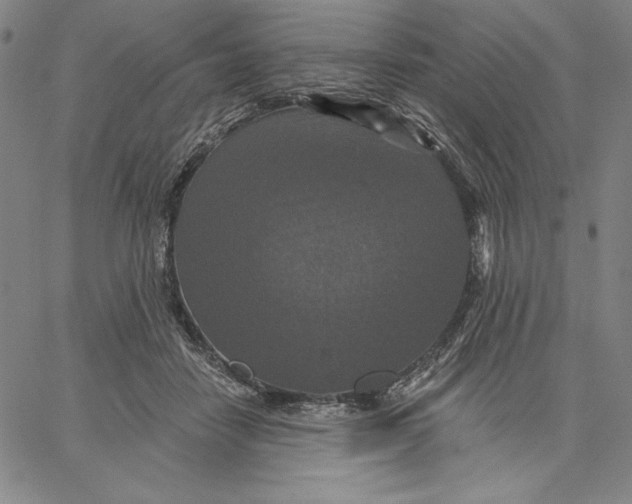 X0000066530458200604071621