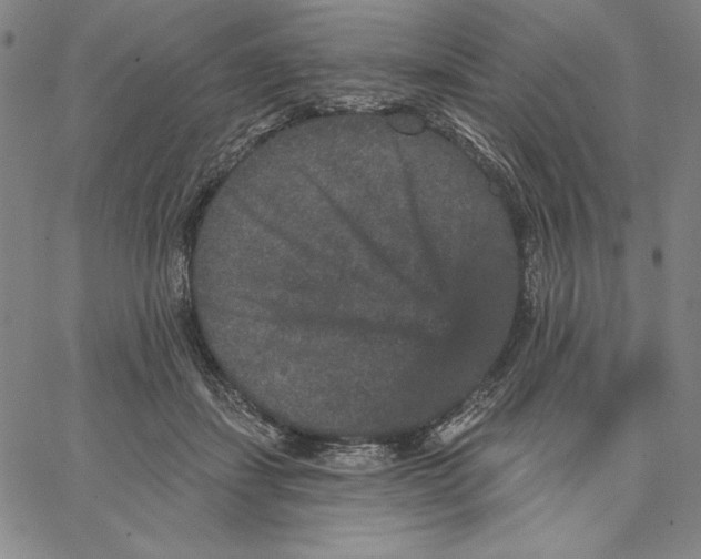 X0000066530459200604071621