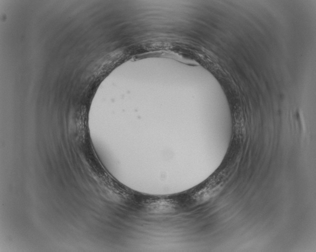 X0000066530460200604071621