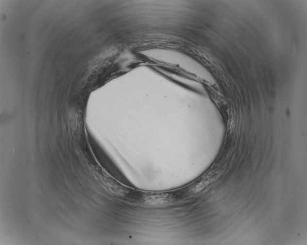 X0000066530461200604071621