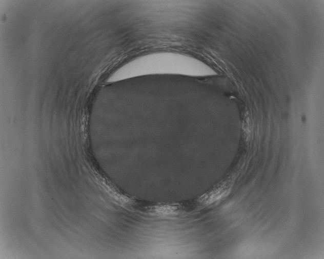 X0000066530462200604071621