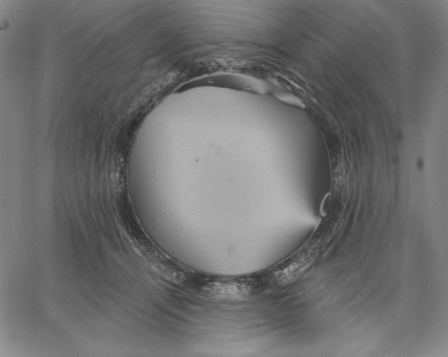 X0000066530464200604071621