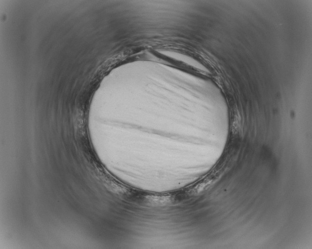 X0000066530469200604071621