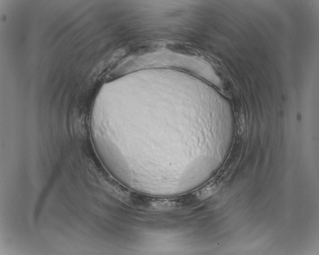 X0000066530470200604071621