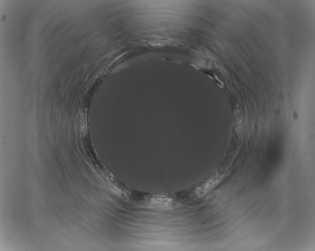 X0000066530471200604071621