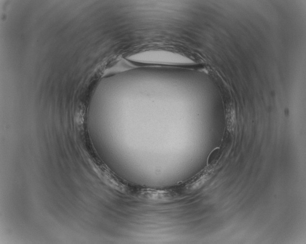 X0000066530472200604071621