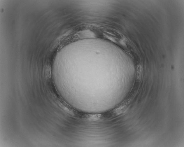 X0000066530474200604071621