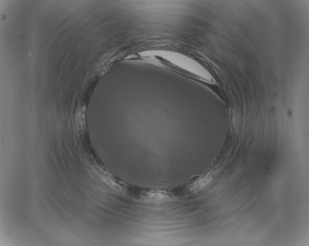 X0000066530475200604071621