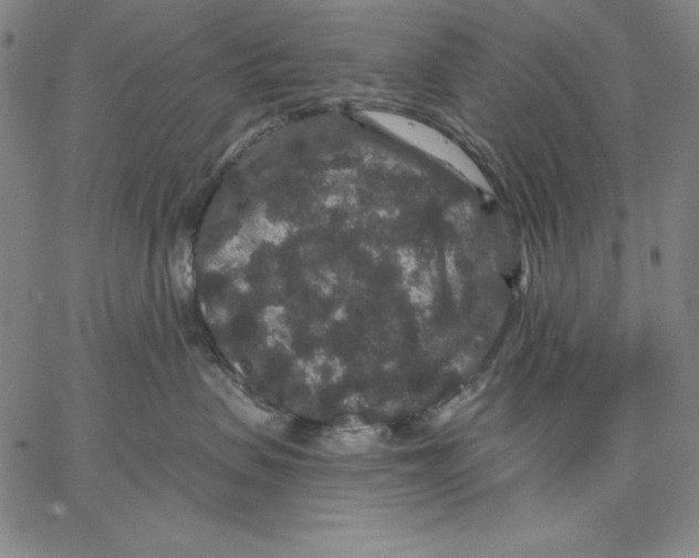 X0000066530479200604071621