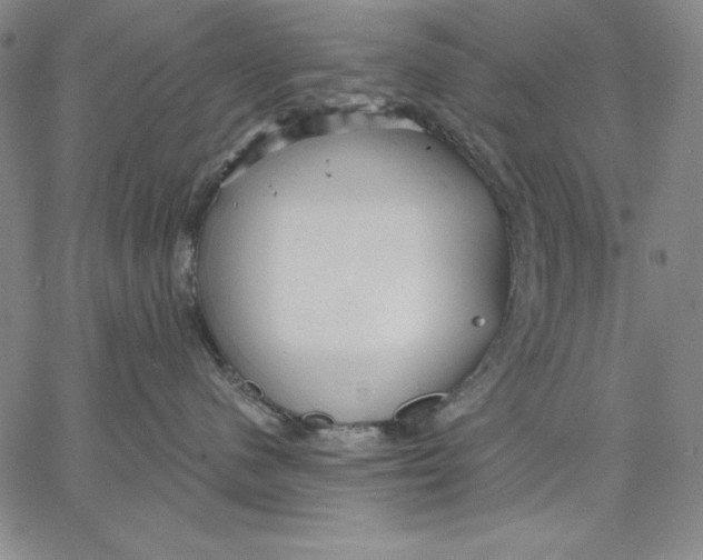 X0000066530480200604071621