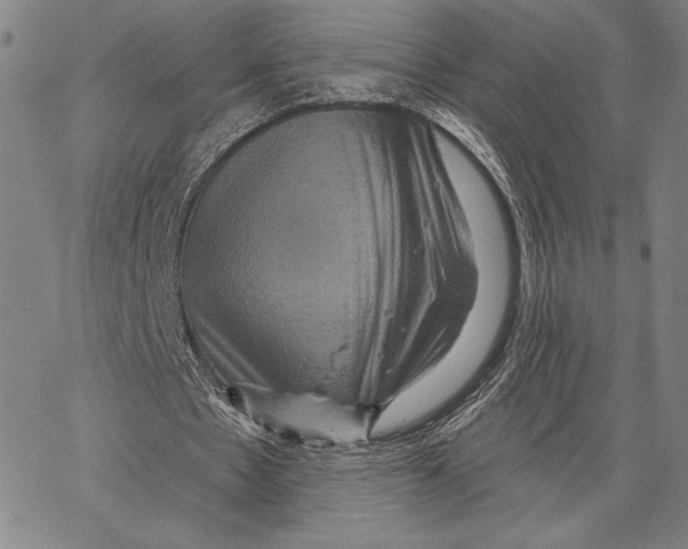 X0000066530481200604071621