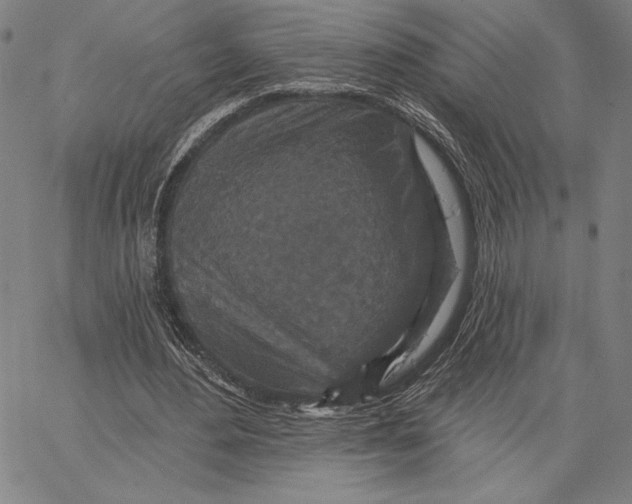 X0000066530484200604071621