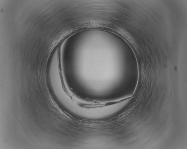 X0000066530485200604071621