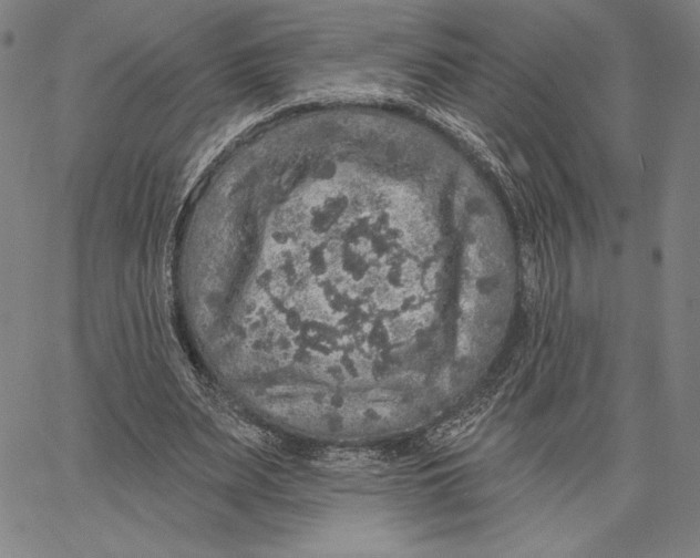 X0000066530487200604071621