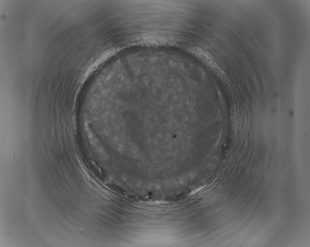 X0000066530488200604071621