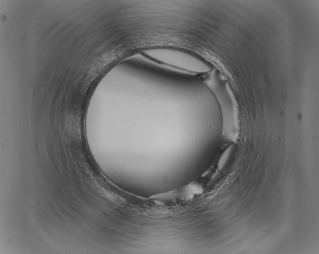 X0000066530489200604071620