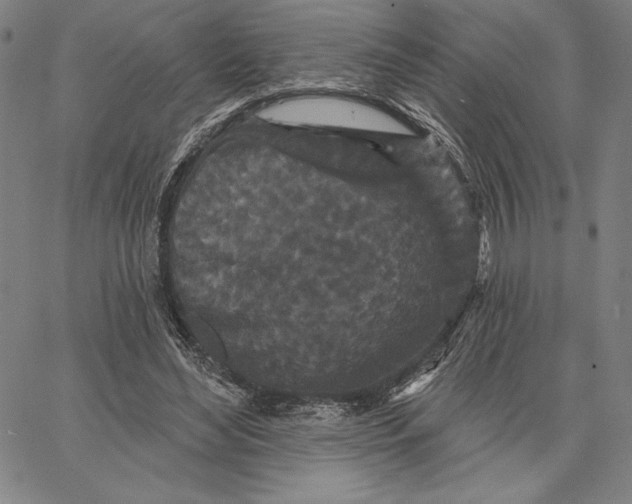 X0000066530492200604071620