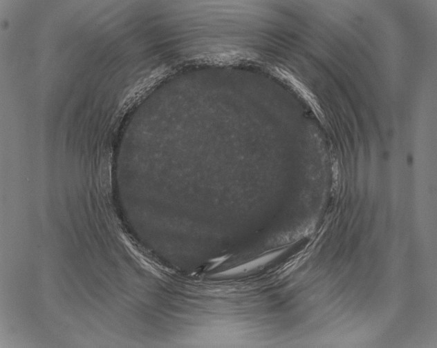 X0000066530493200604071620