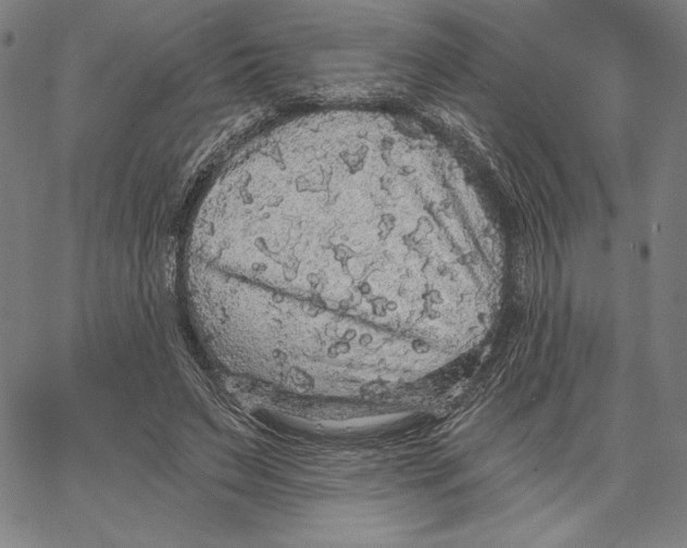 X0000066530495200604071620