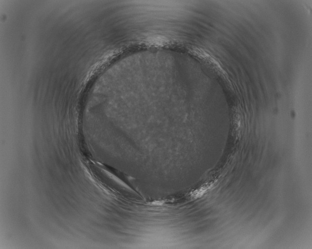 X0000066530496200604071620