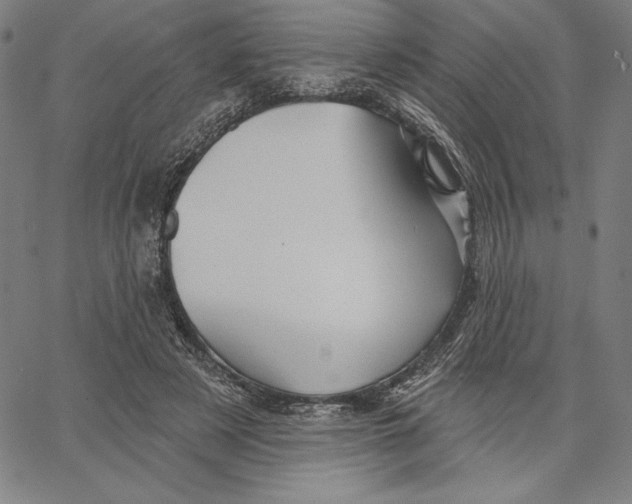 X0000066530497200604071620