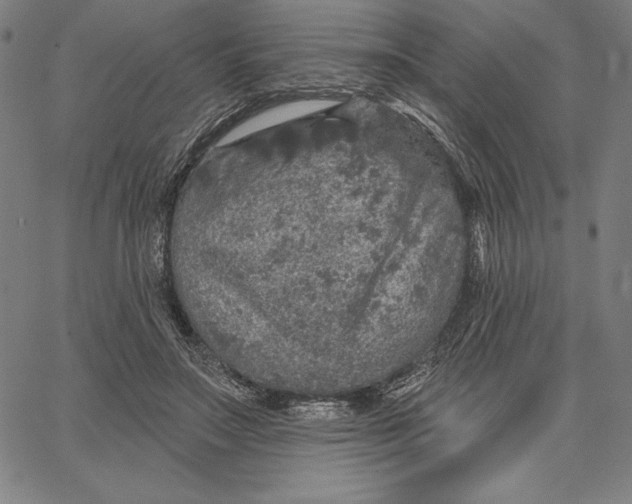 X0000066530499200604071620