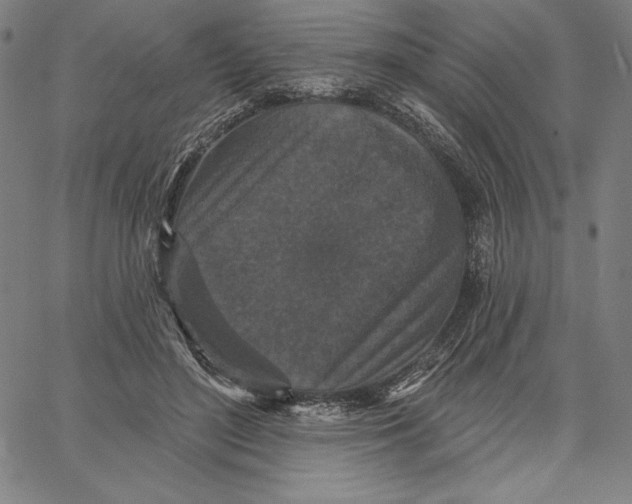 X0000066530500200604071620