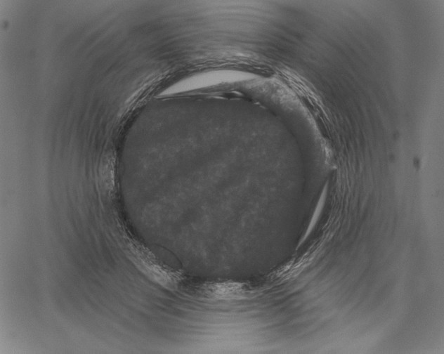 X0000066530501200604071620