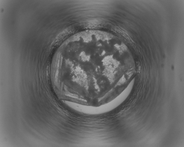 X0000066530503200604071620