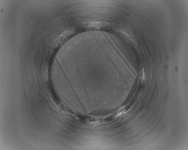 X0000066530504200604071620