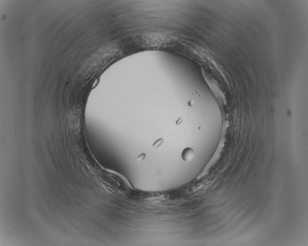 X0000066530505200604071620