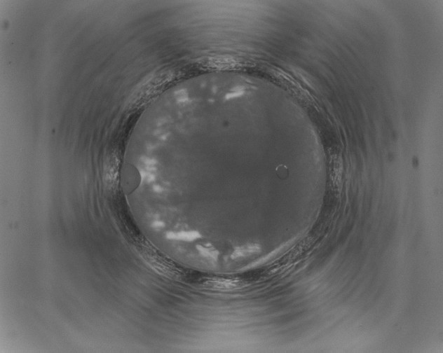 X0000066530507200604071620